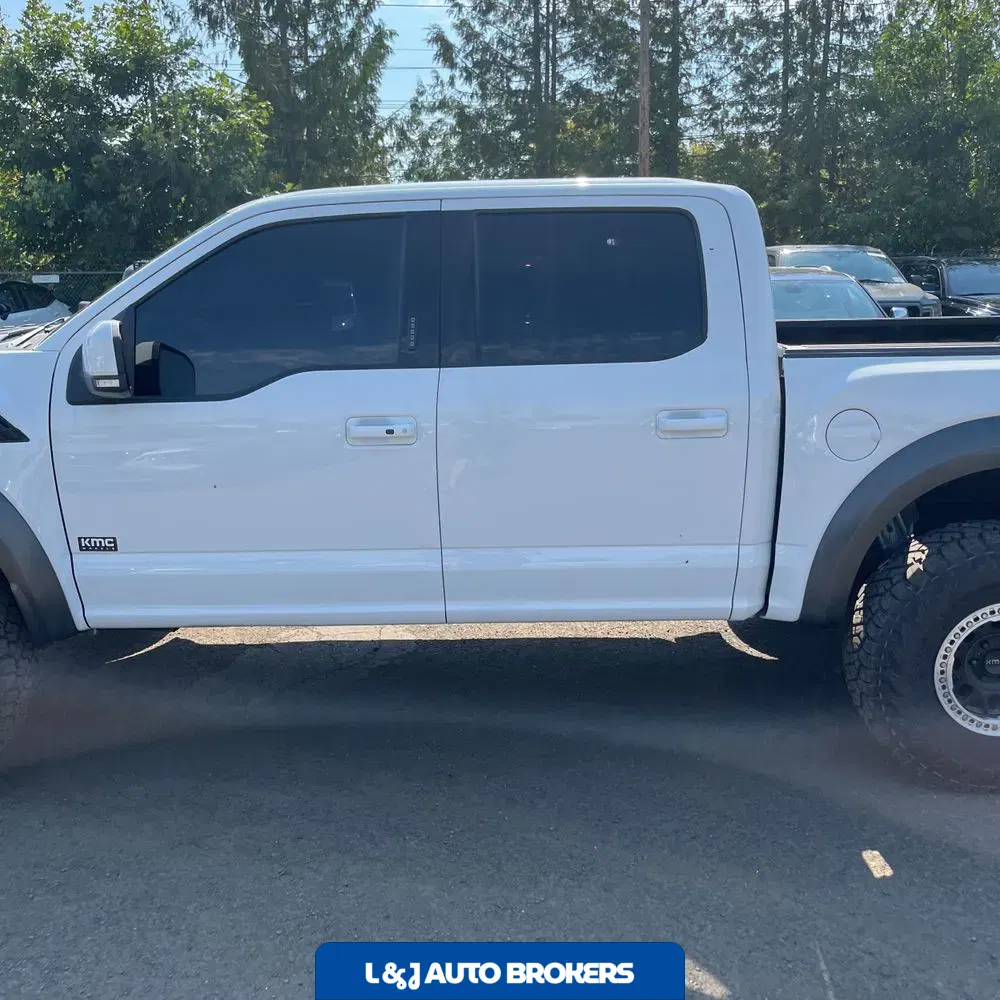2019 Ford F-150 Raptor