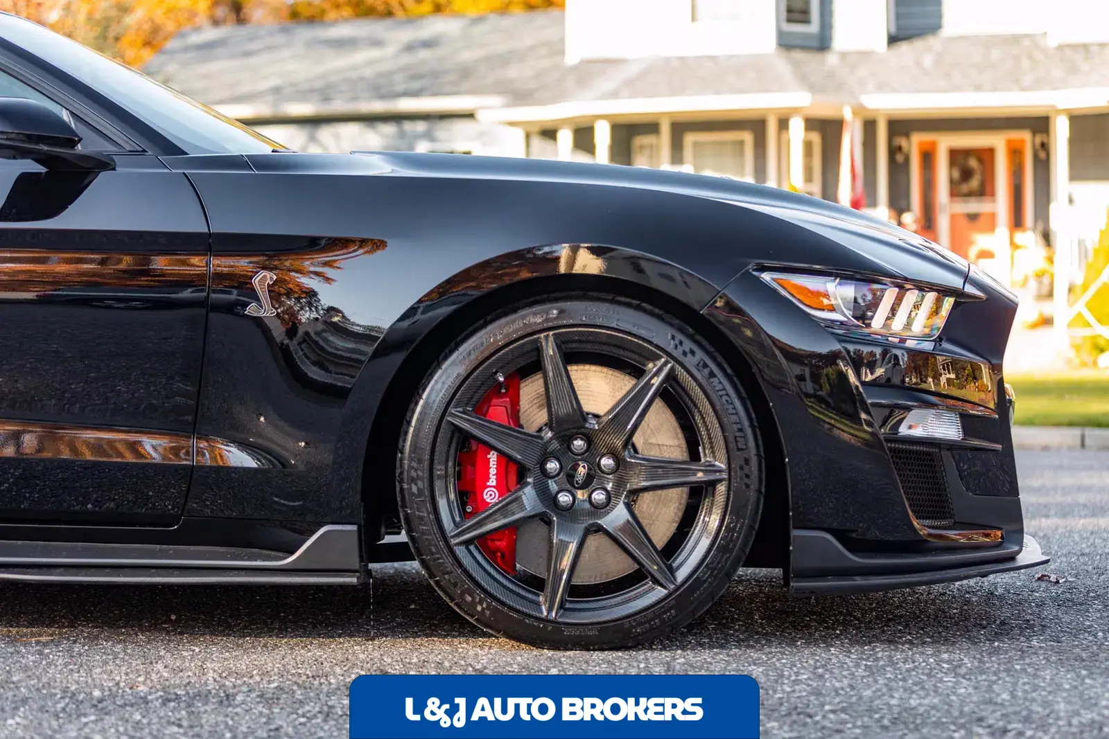 2020 Ford Mustang Shelby GT500
