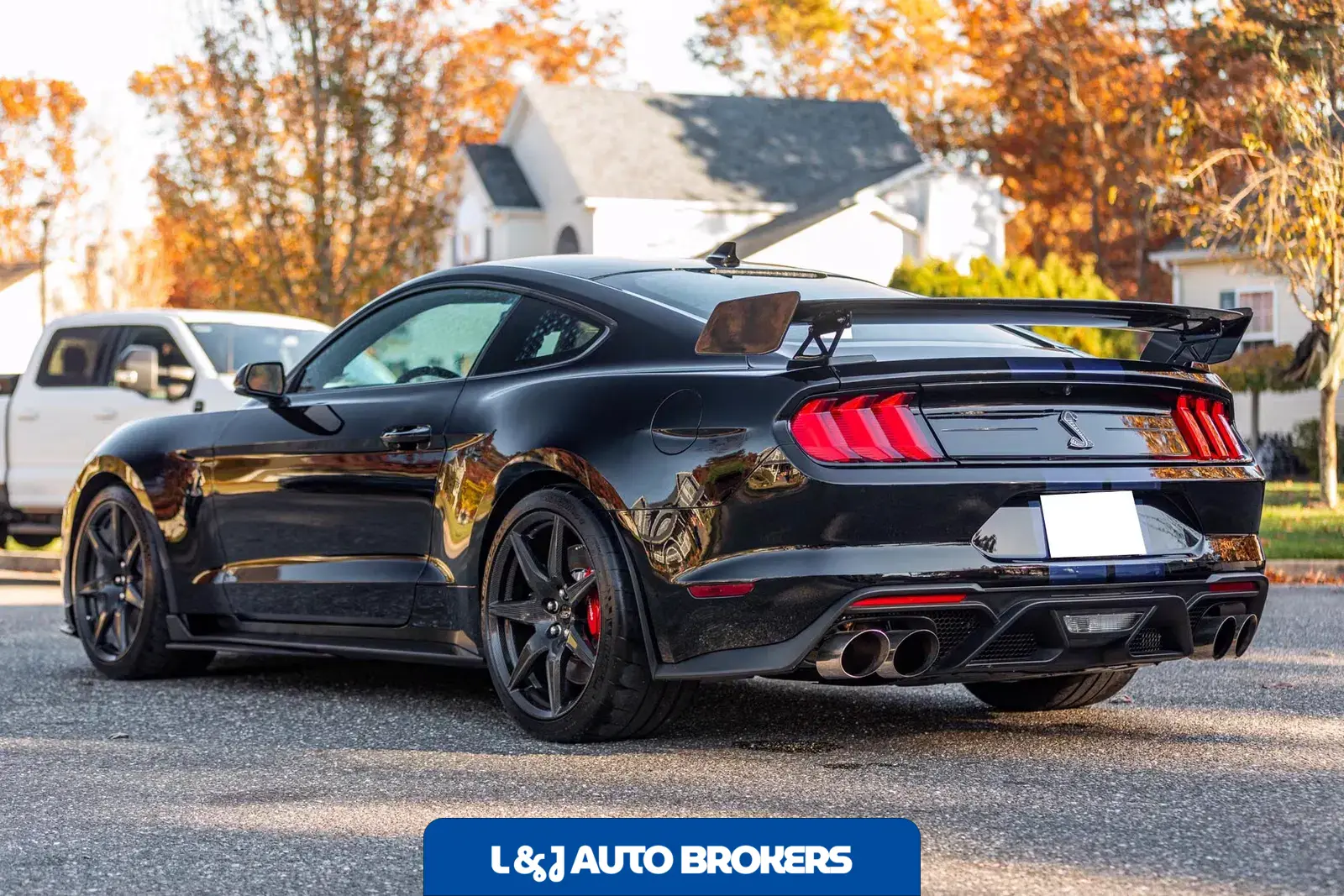 2020 Ford Mustang Shelby GT500