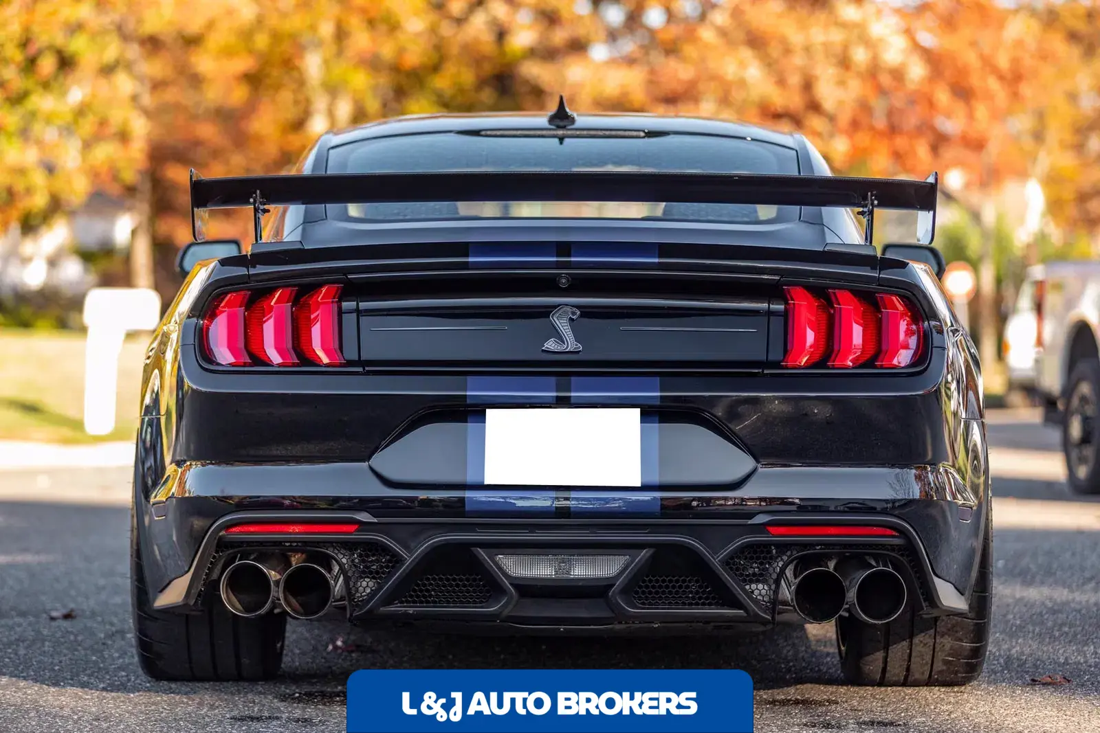 2020 Ford Mustang Shelby GT500