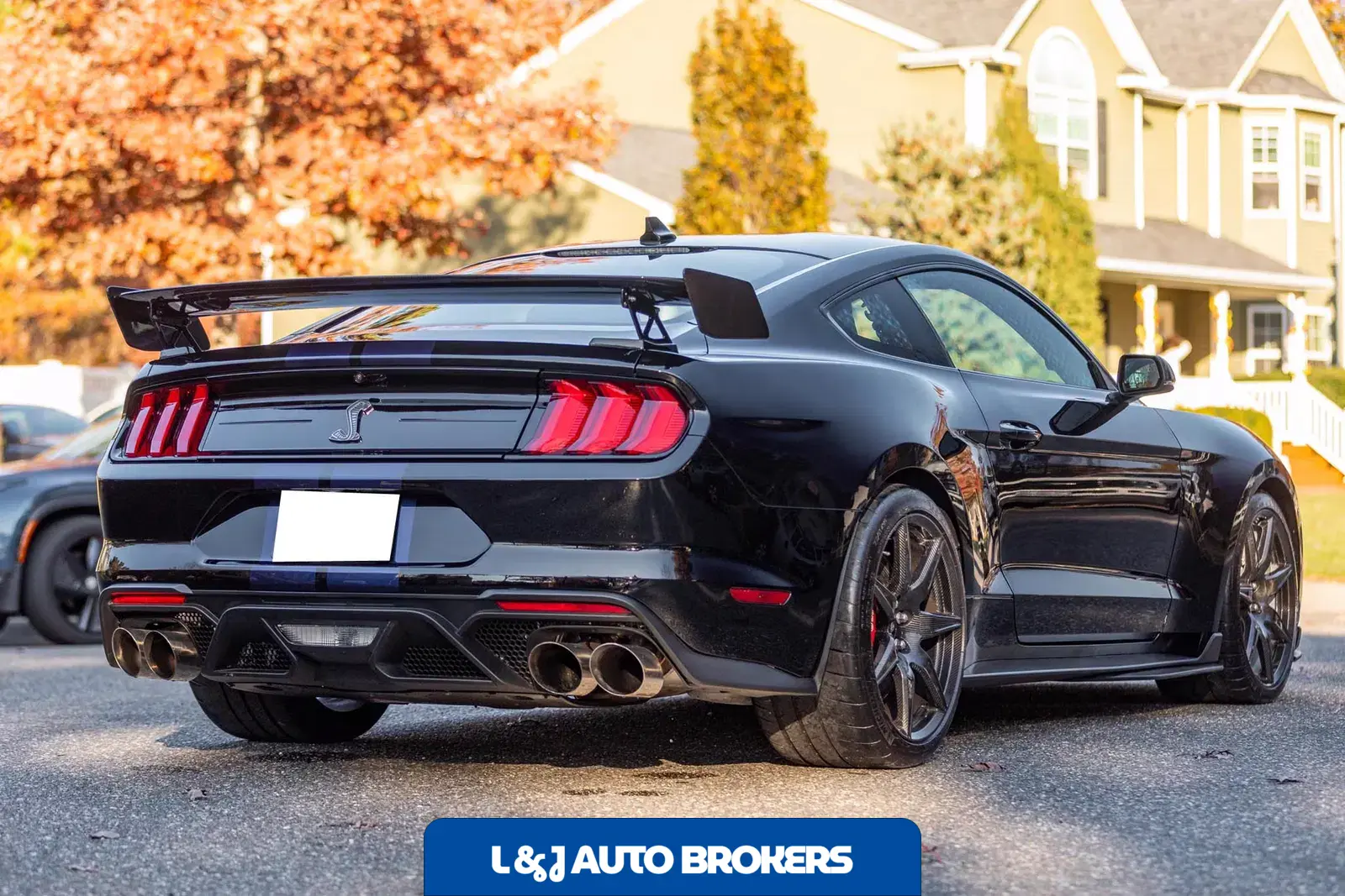 2020 Ford Mustang Shelby GT500
