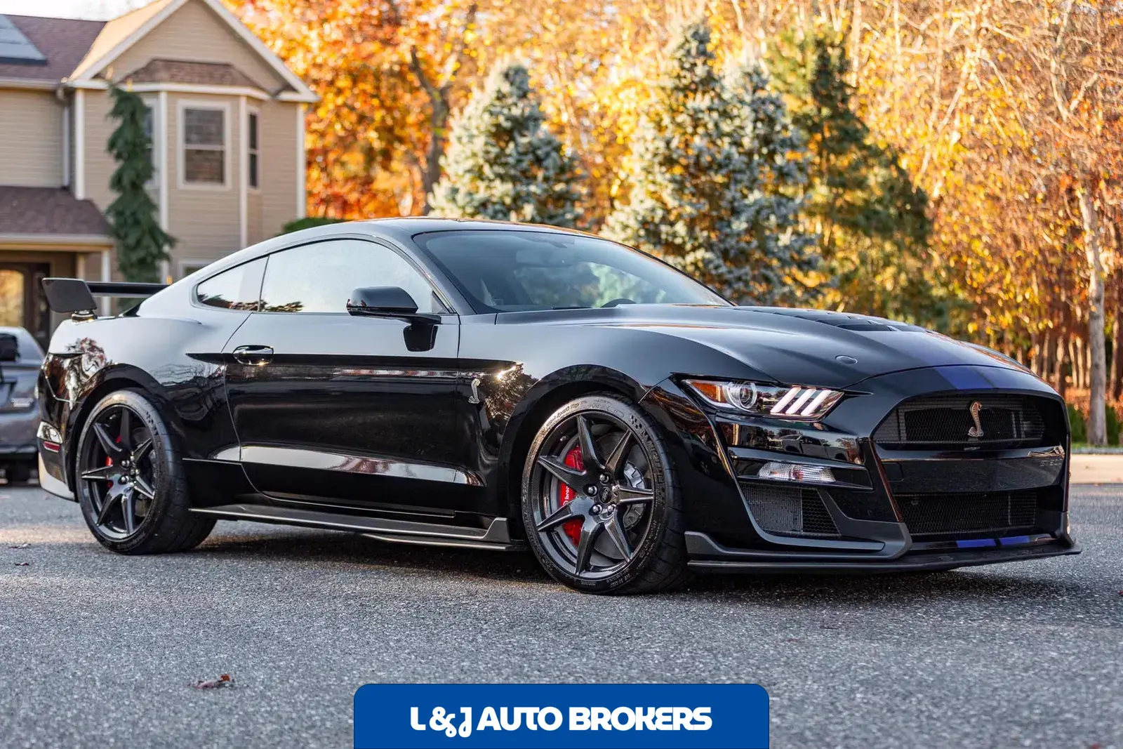 2020 Ford Mustang Shelby GT500