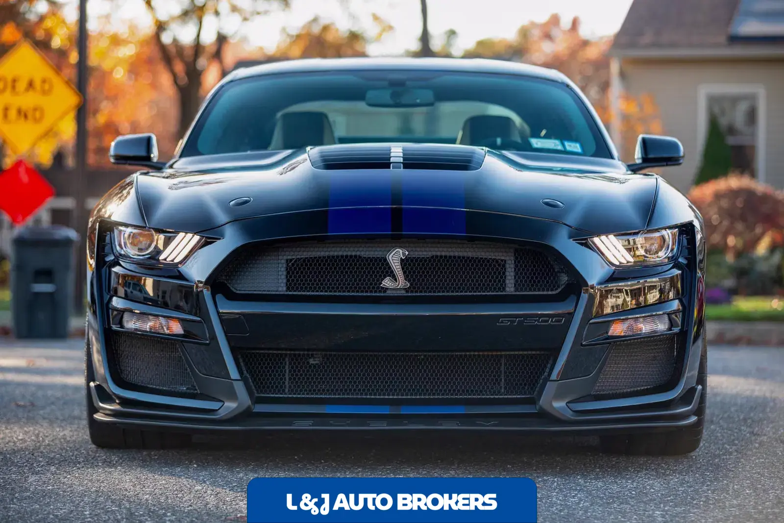 2020 Ford Mustang Shelby GT500