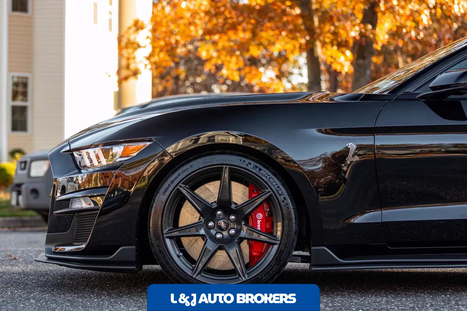 2020 Ford Mustang Shelby GT500