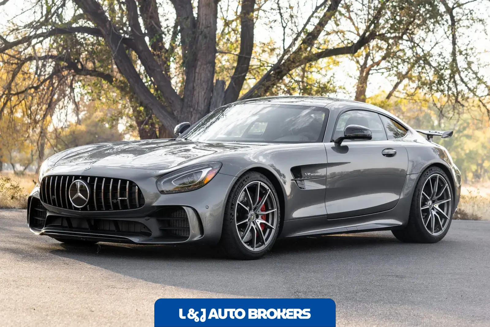 2019 Mercedes-AMG GTR
