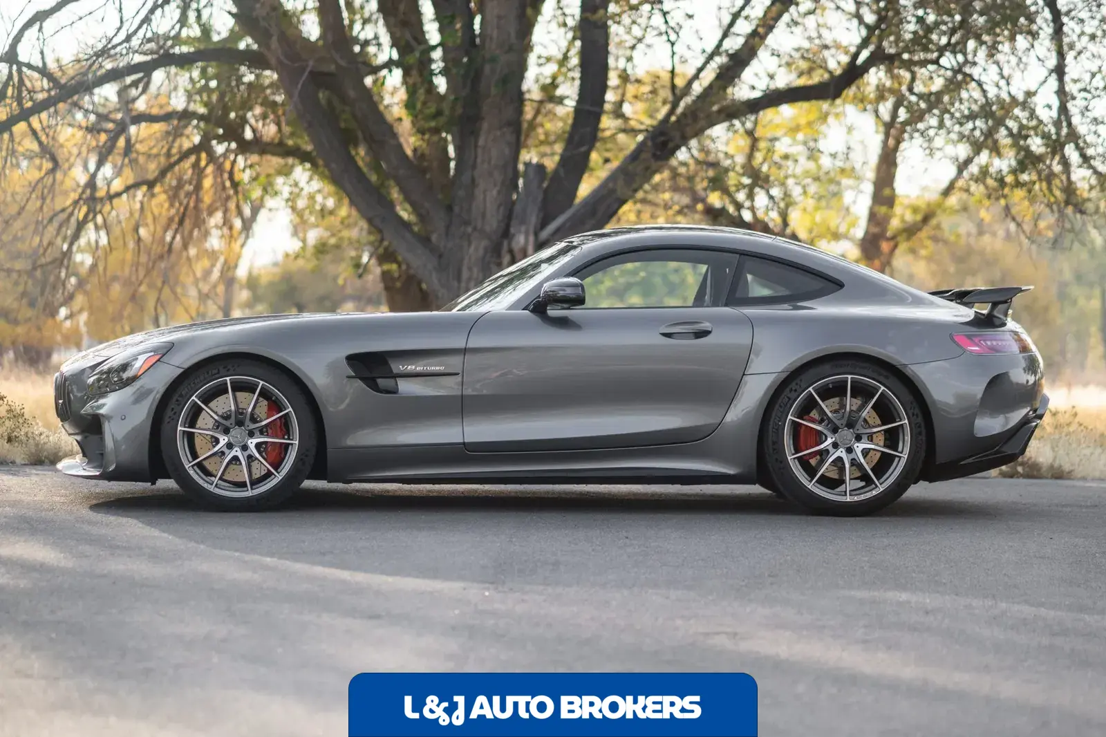 2019 Mercedes-AMG GTR