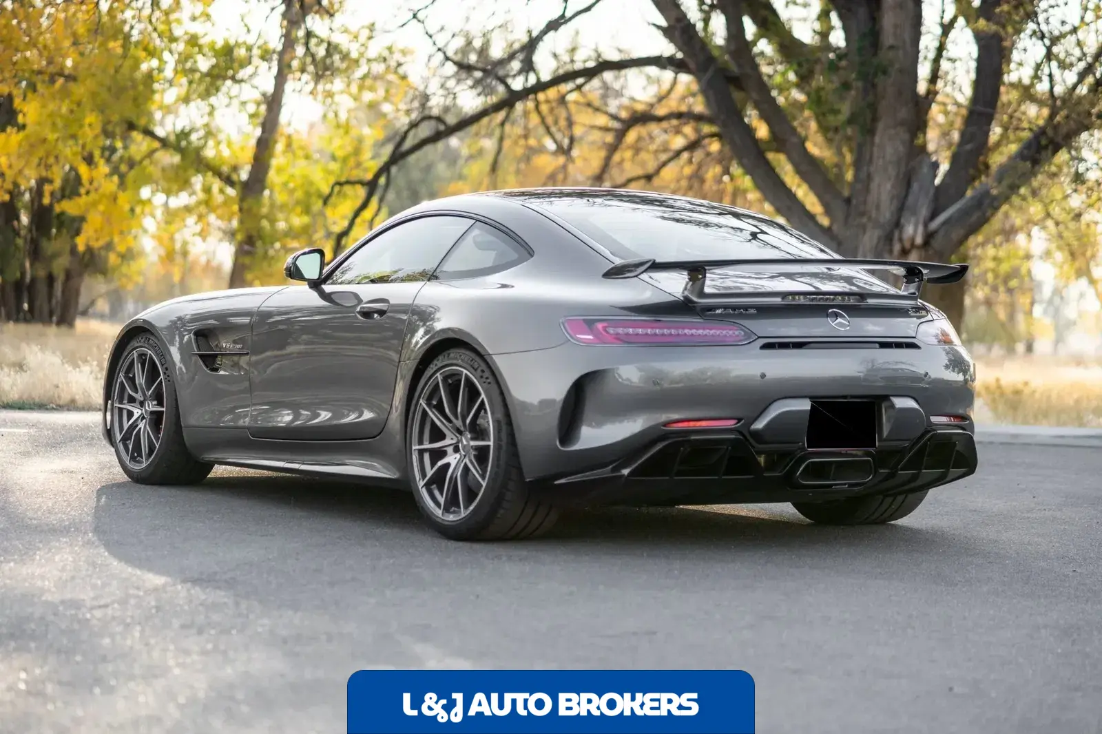 2019 Mercedes-AMG GTR