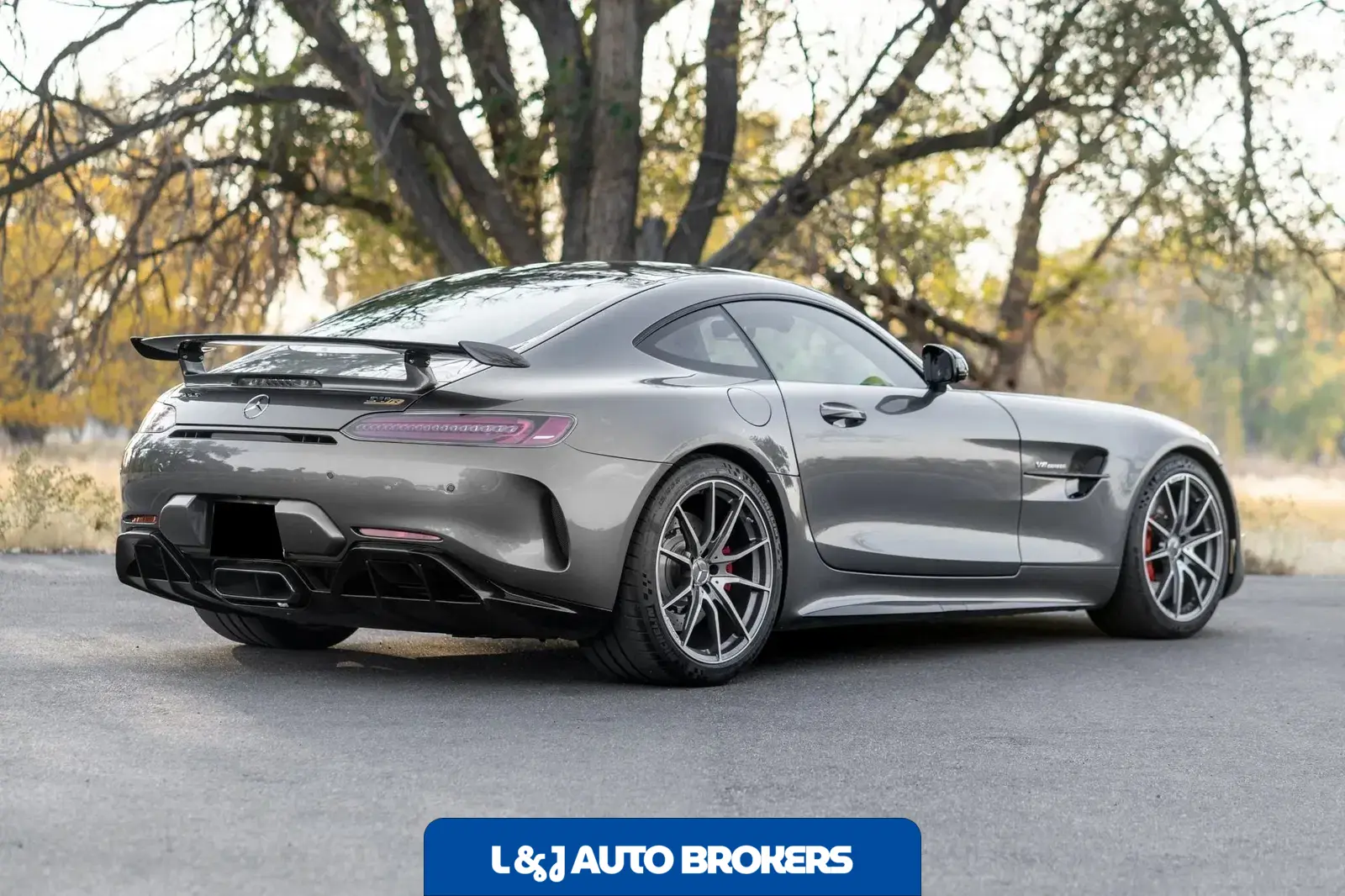 2019 Mercedes-AMG GTR