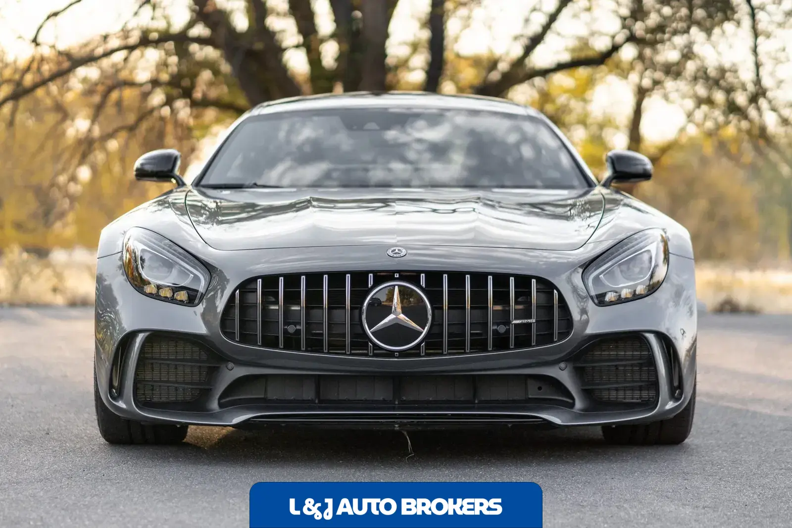 2019 Mercedes-AMG GTR