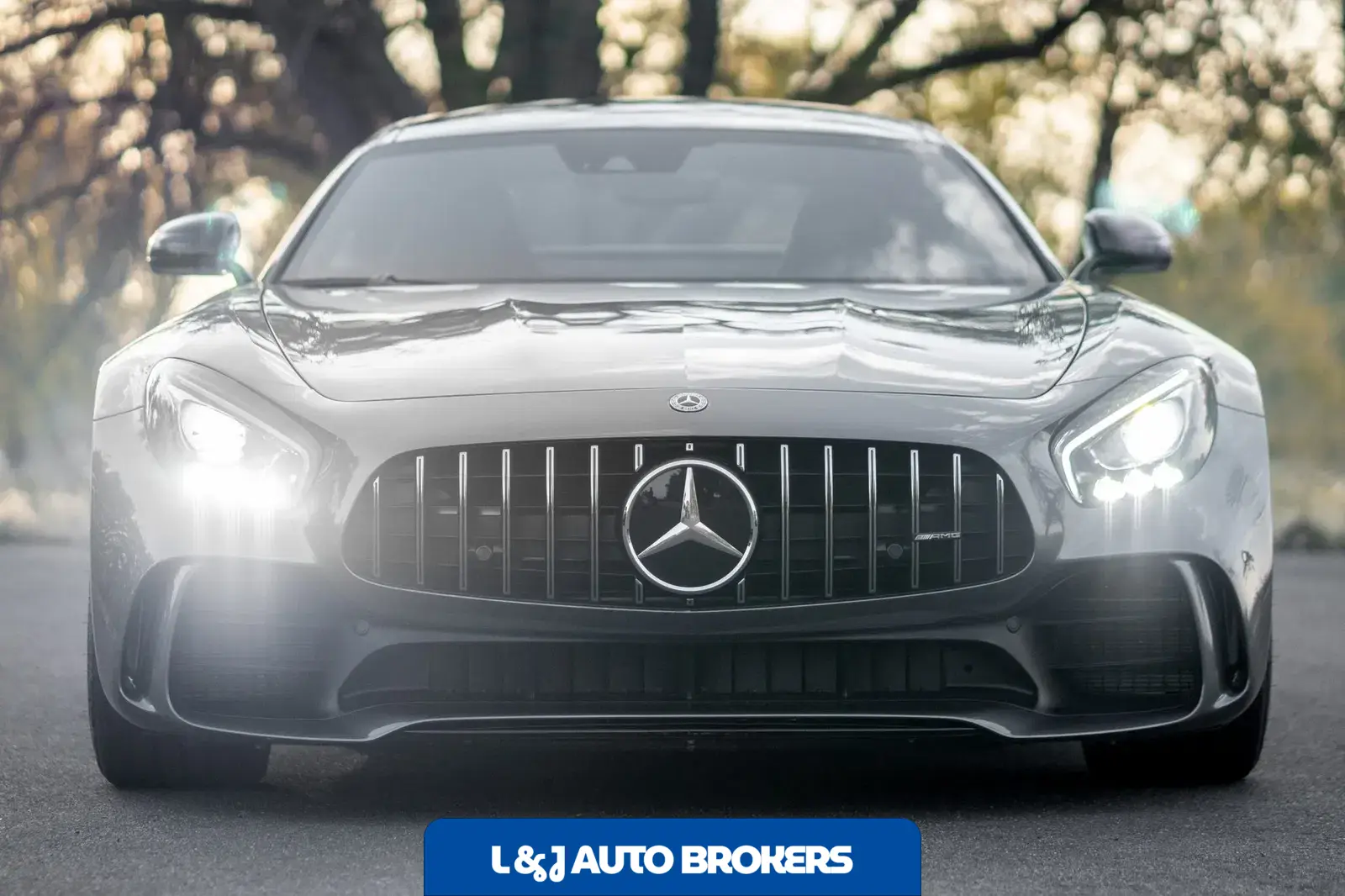 2019 Mercedes-AMG GTR