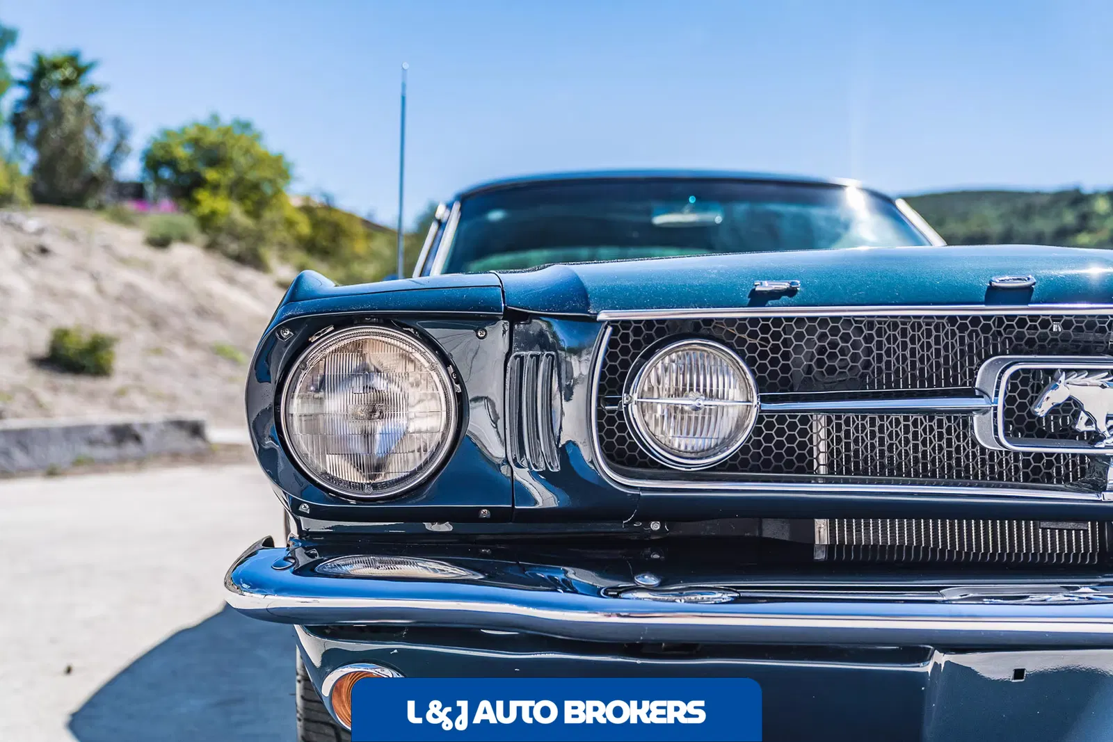 1965 Ford Mustang