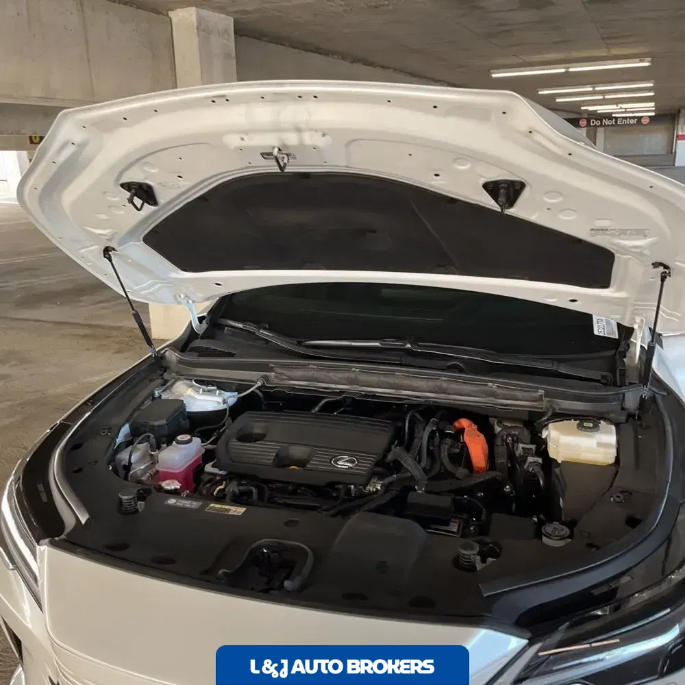2024 Lexus RX 350h Luxury