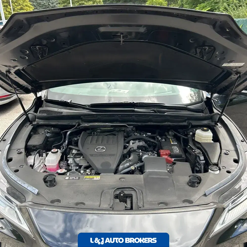 2023 Lexus RX 350 Luxury