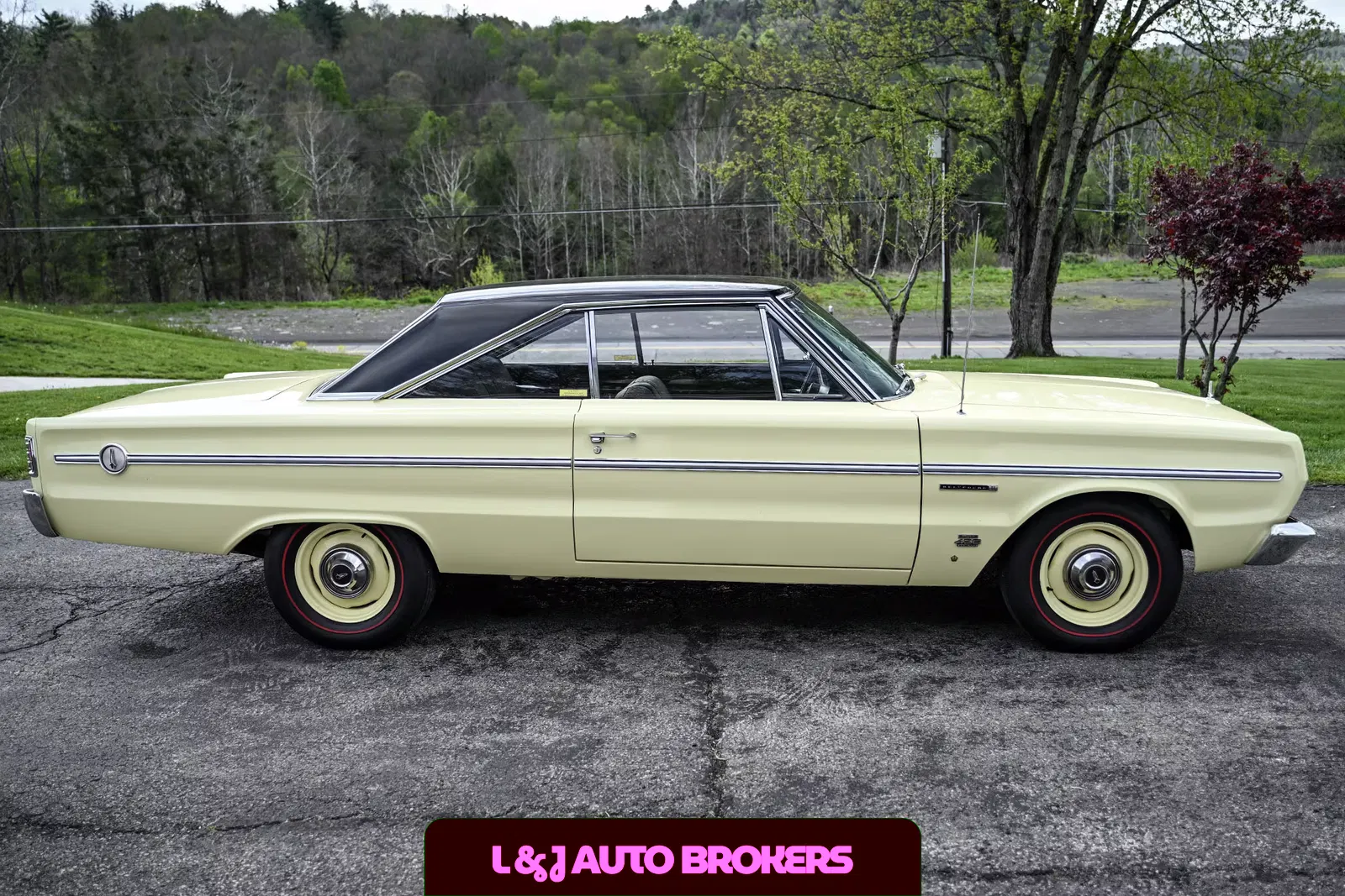 1966 Plymouth Belvedere
