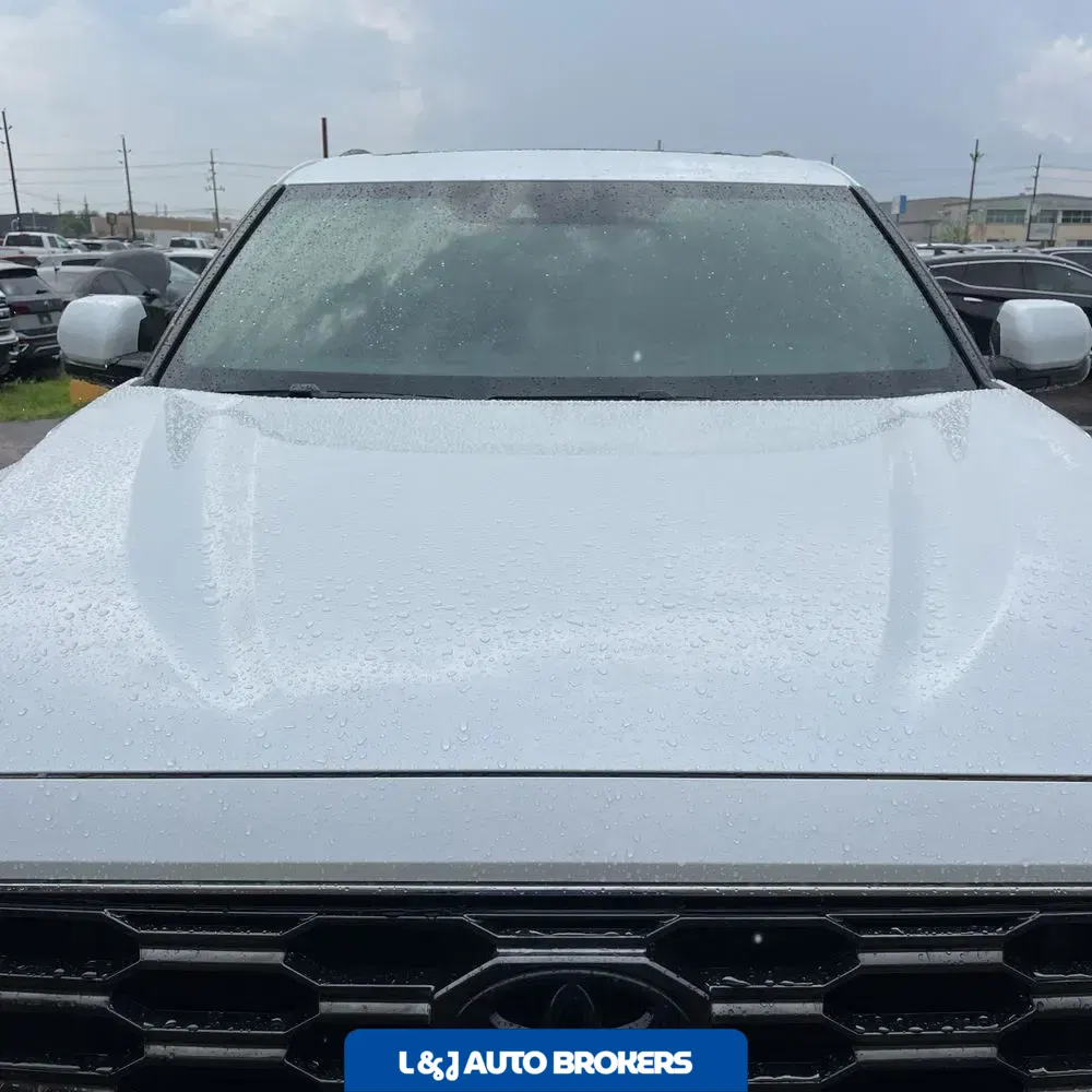 2025 Toyota Sequoia Platinum