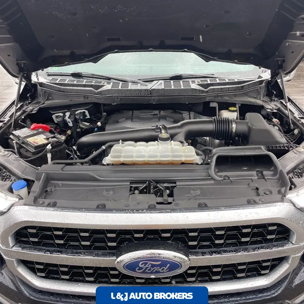 2021 Ford F150 Platinum