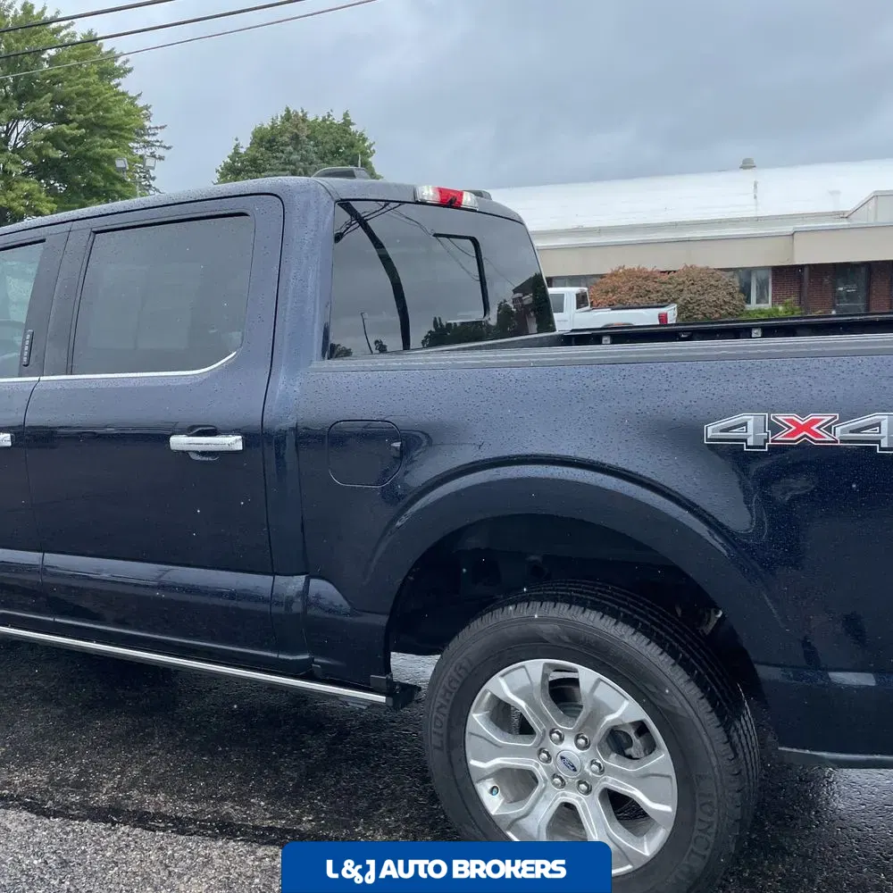 2021 Ford F150 Platinum