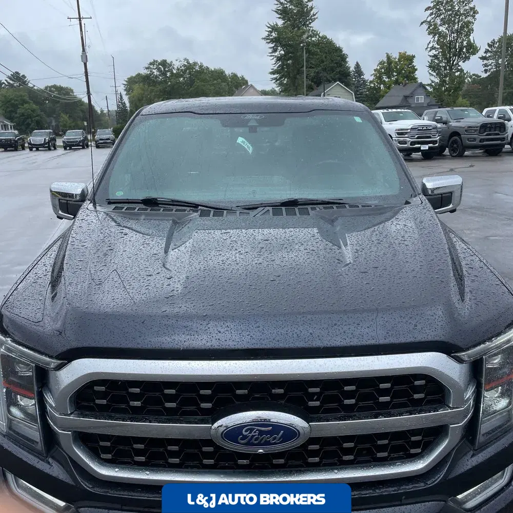2021 Ford F150 Platinum