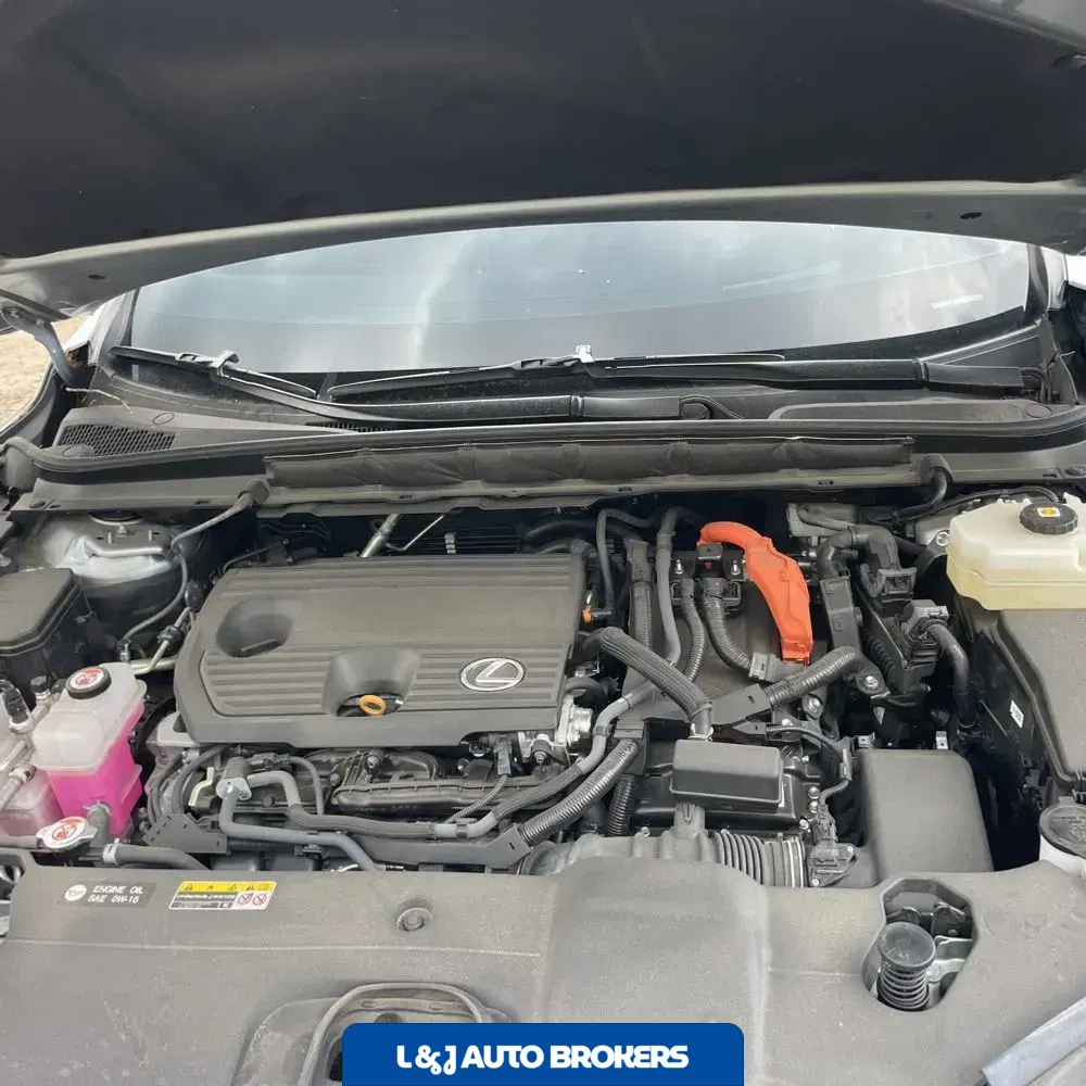 2024 Lexus RX 350h Premium+