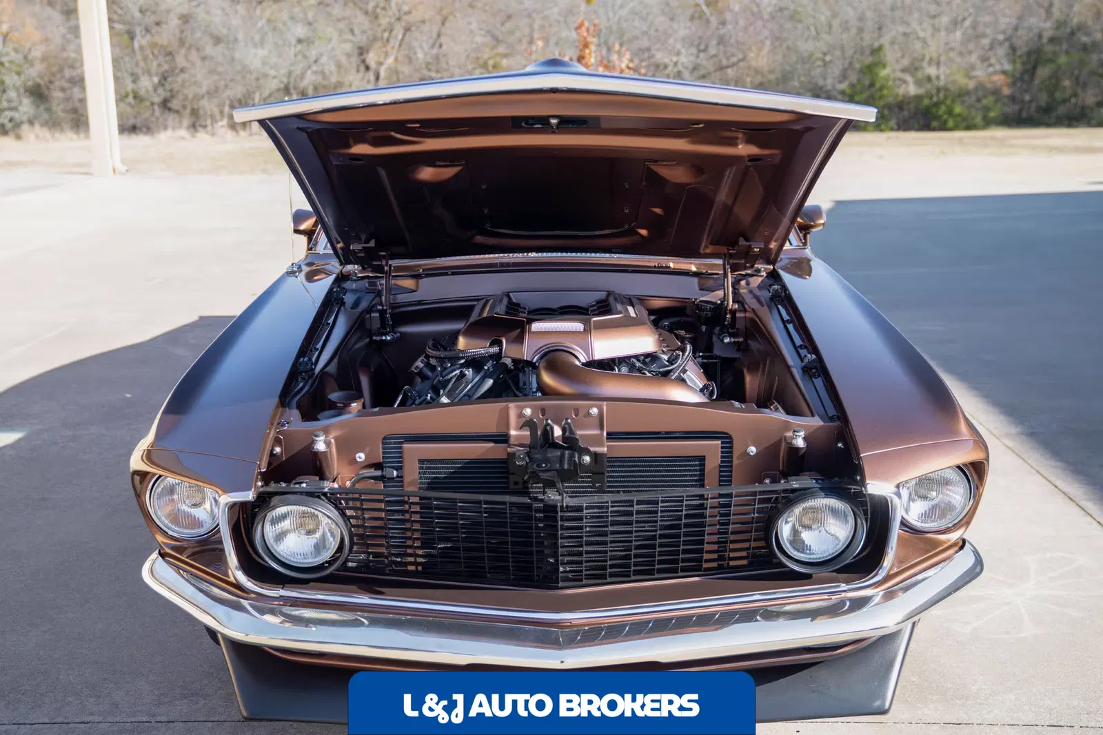 1969 Ford Mustang Custom