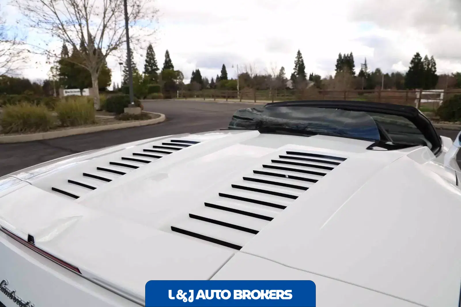 2013 Lamborghini Gallardo Spyder LP550-2