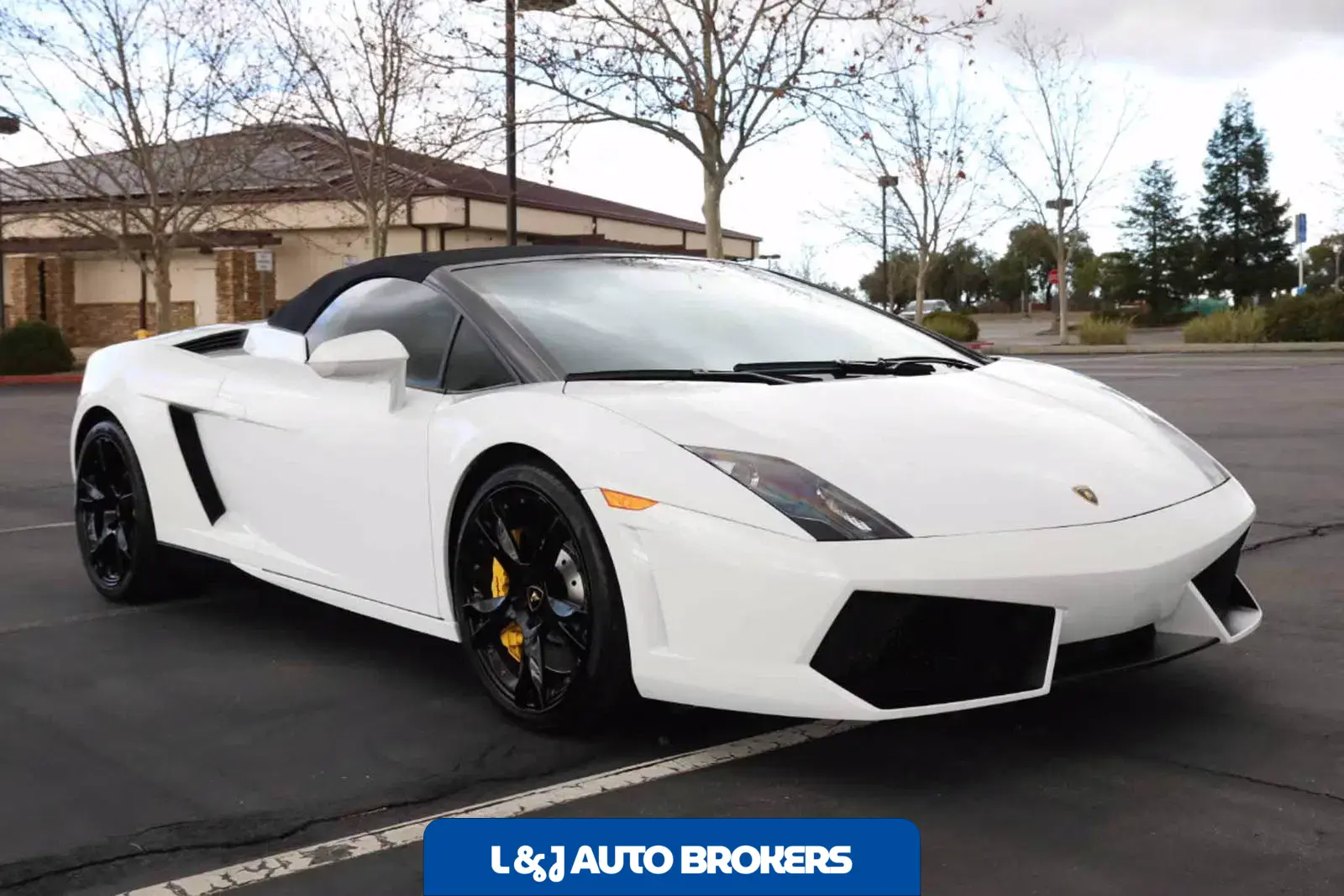2013 Lamborghini Gallardo Spyder LP550-2