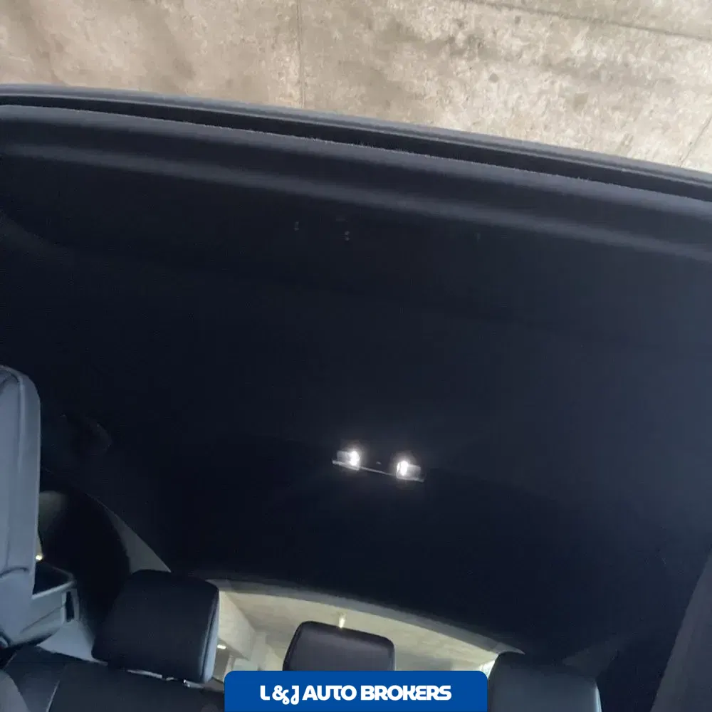 2024 Lexus NX 450h+ F SPORT Handling