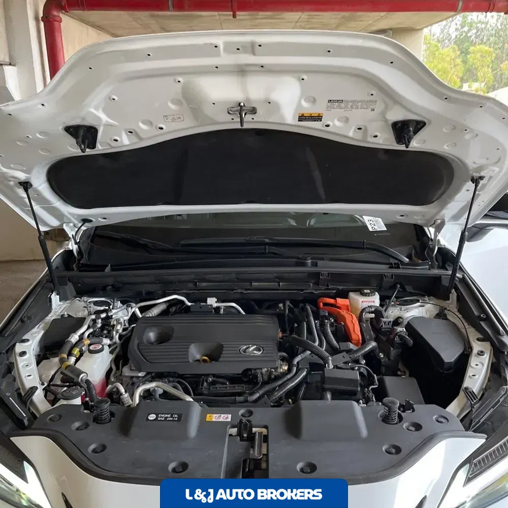 2024 Lexus NX 450h+ F SPORT Handling