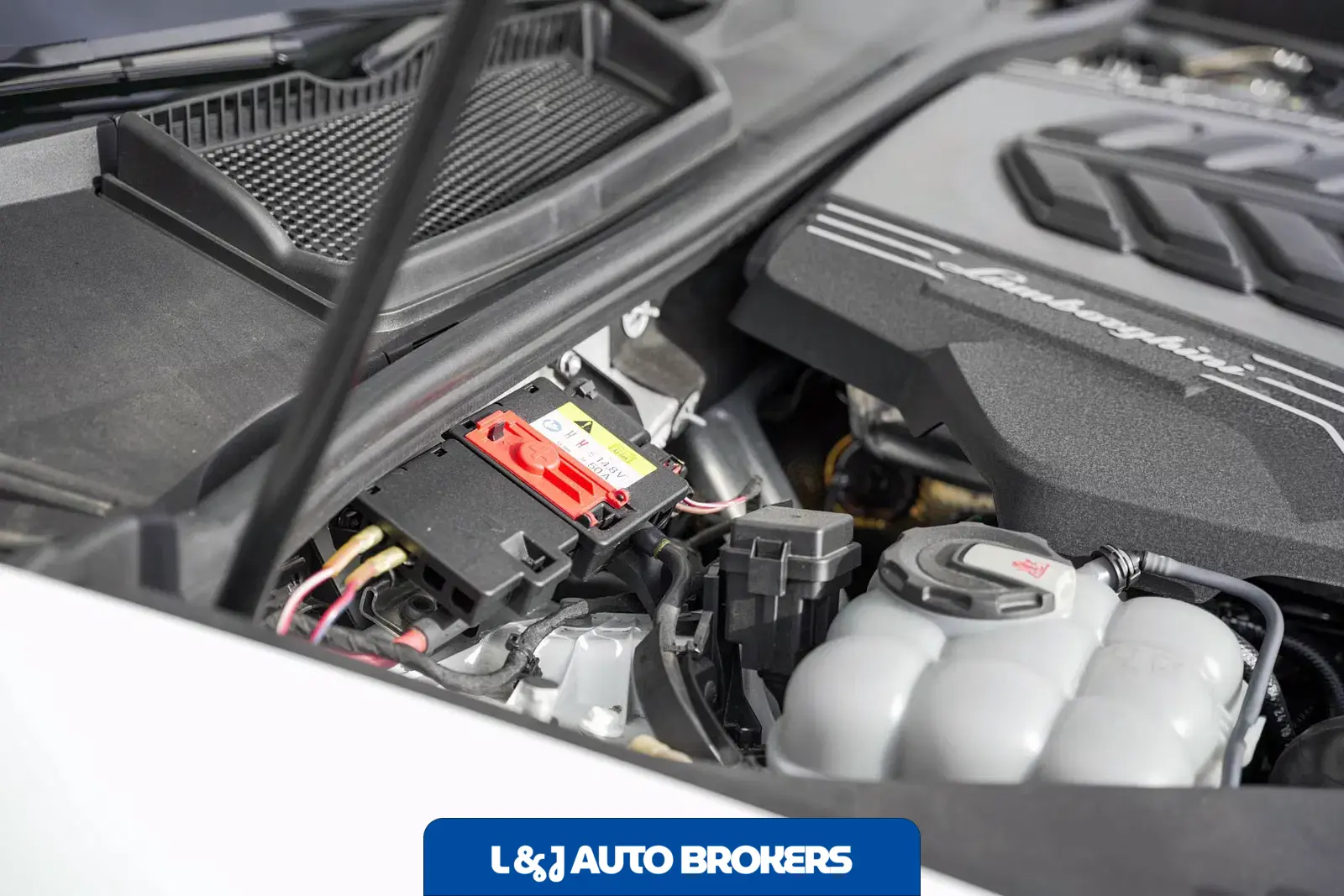 2020 Lamborghini Urus