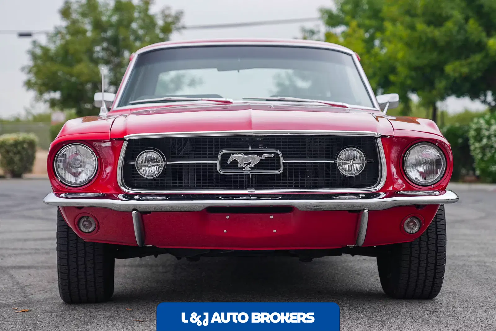 1967 Ford Mustang