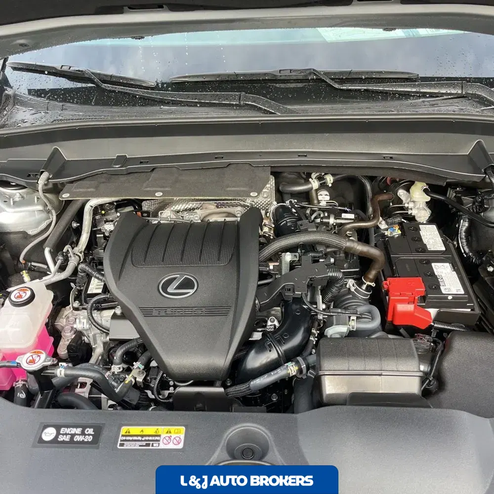 2025 Lexus TX 350 Premium
