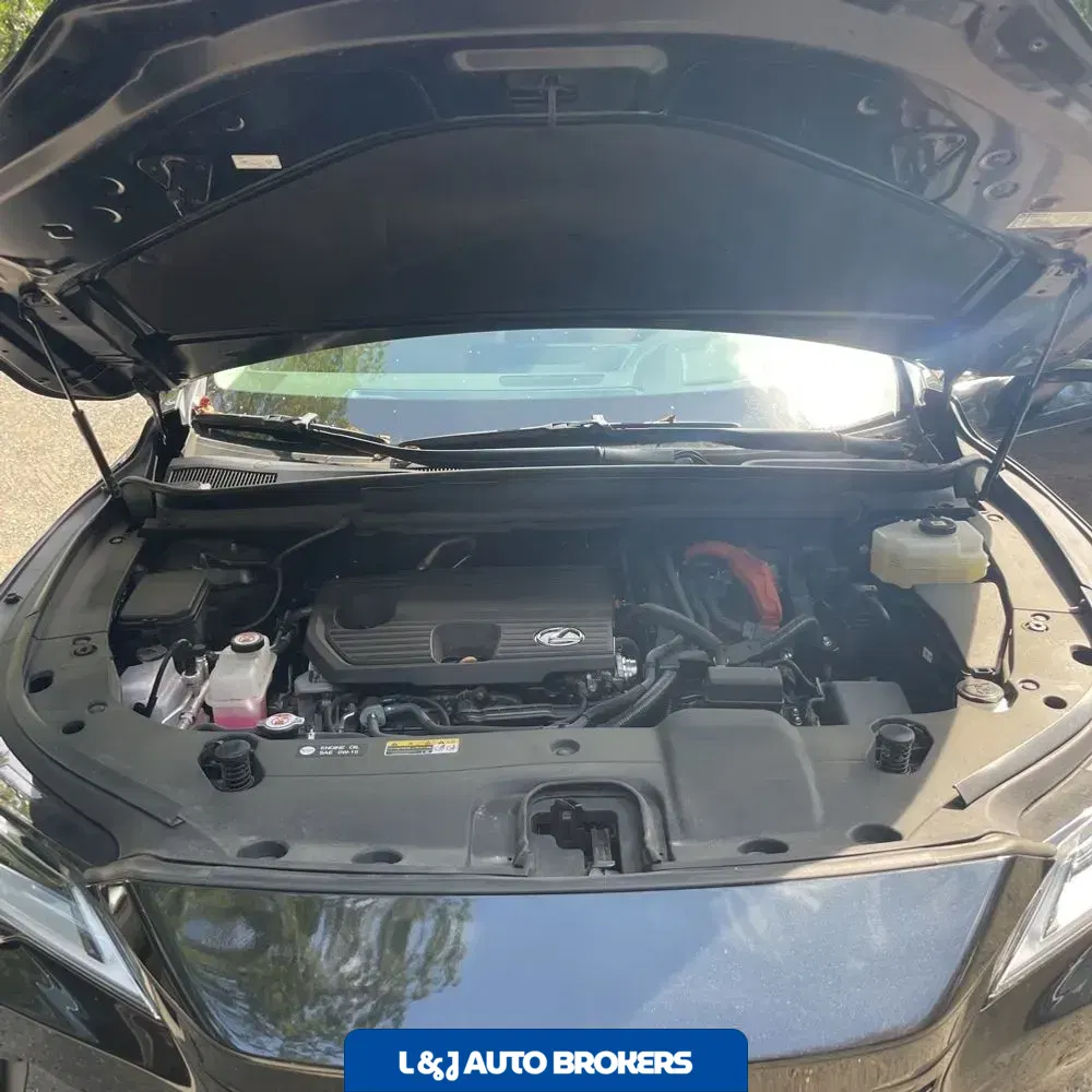2023 Lexus RX 350h Luxury