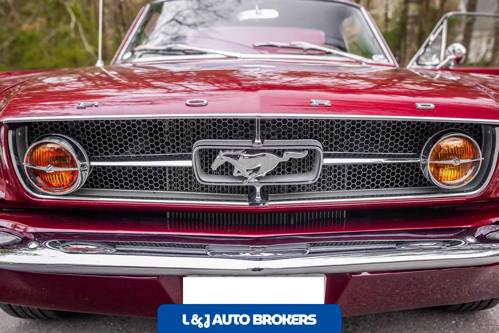 1965 Ford Mustang GT