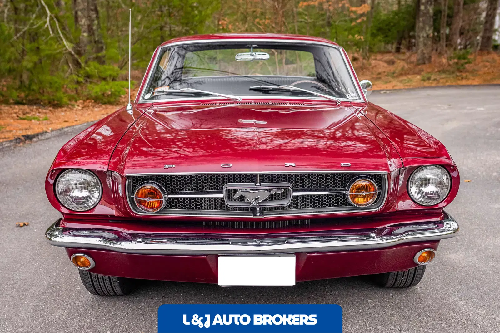 1965 Ford Mustang GT