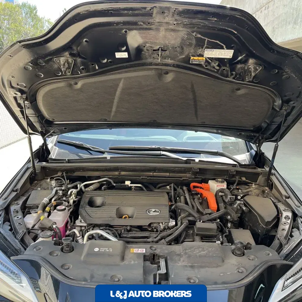 2024 Lexus NX 450h+ F SPORT Handling