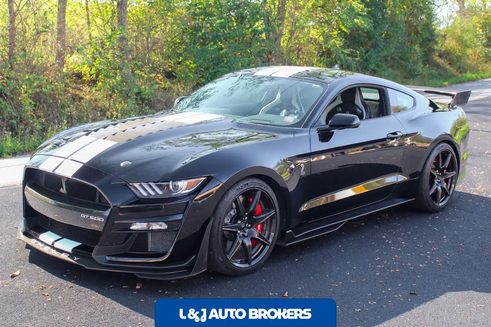 2022 Ford Mustang Shelby GT500