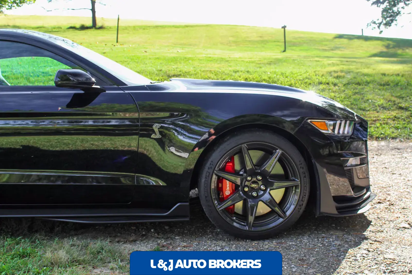 2022 Ford Mustang Shelby GT500