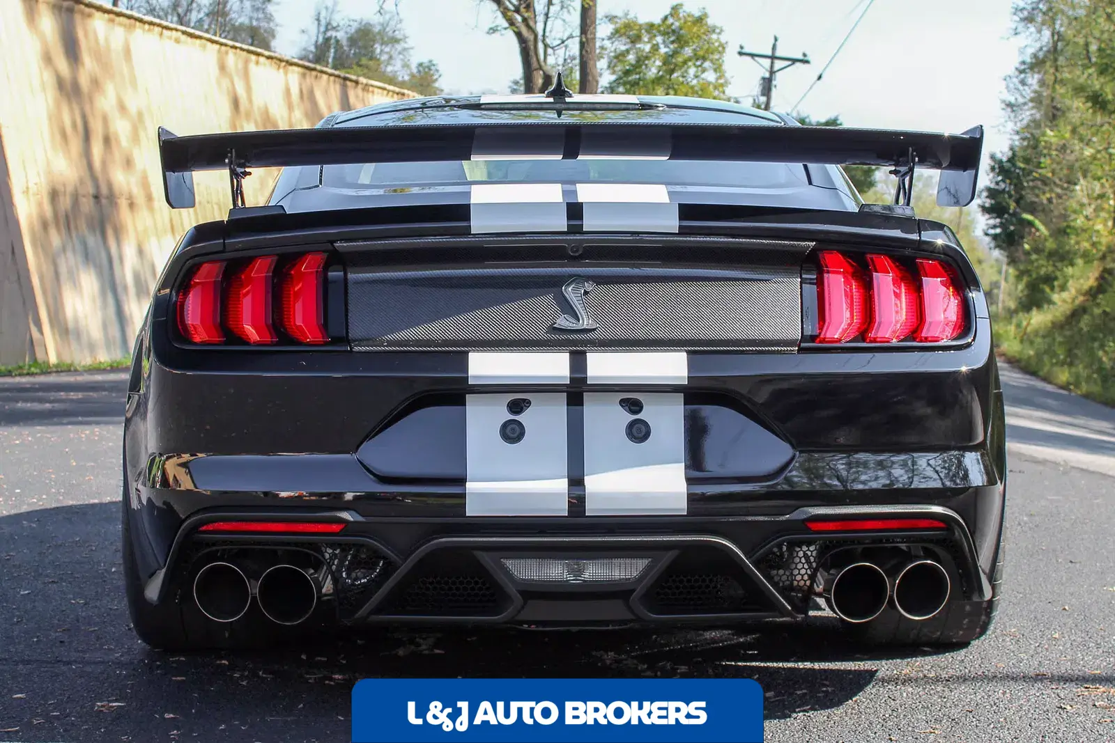 2022 Ford Mustang Shelby GT500