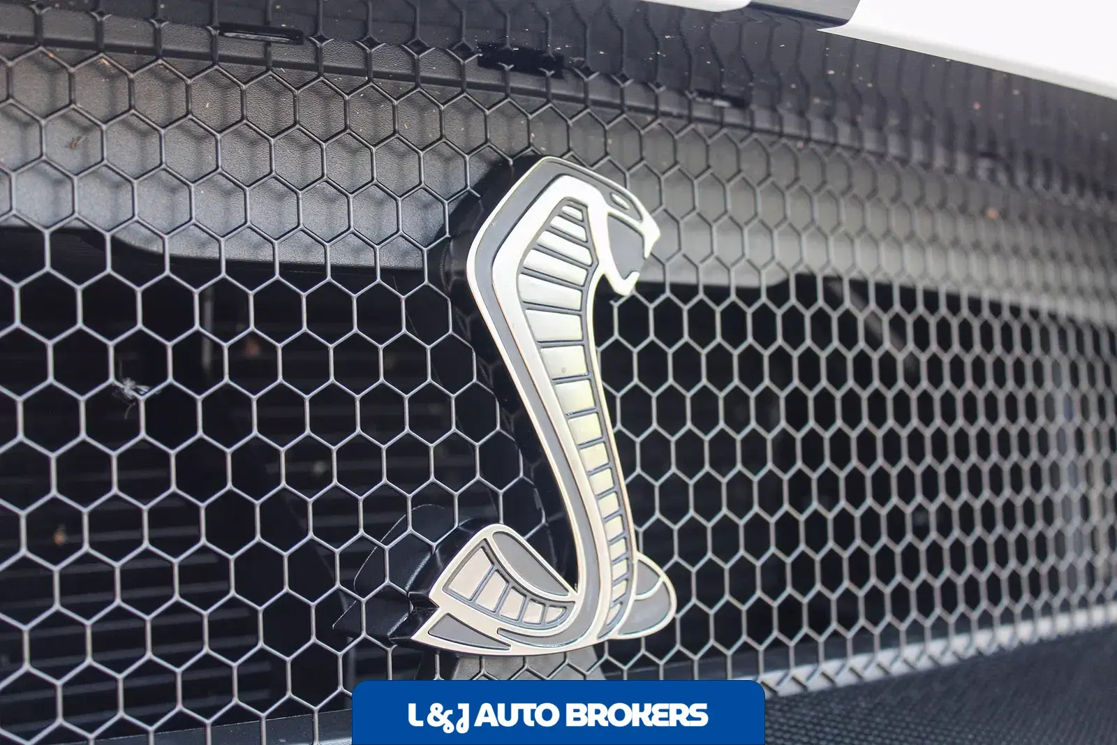 2022 Ford Mustang Shelby GT500