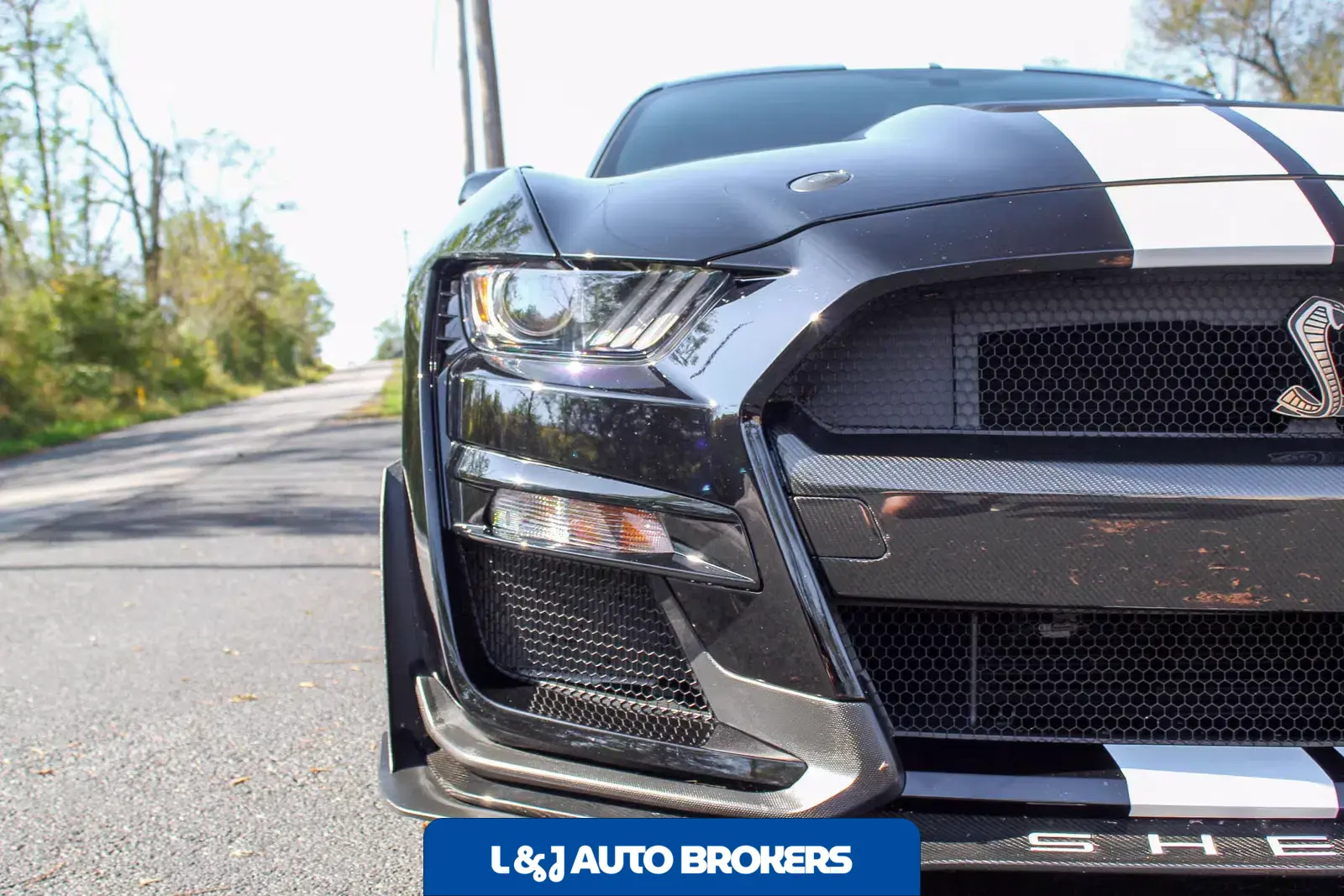 2022 Ford Mustang Shelby GT500