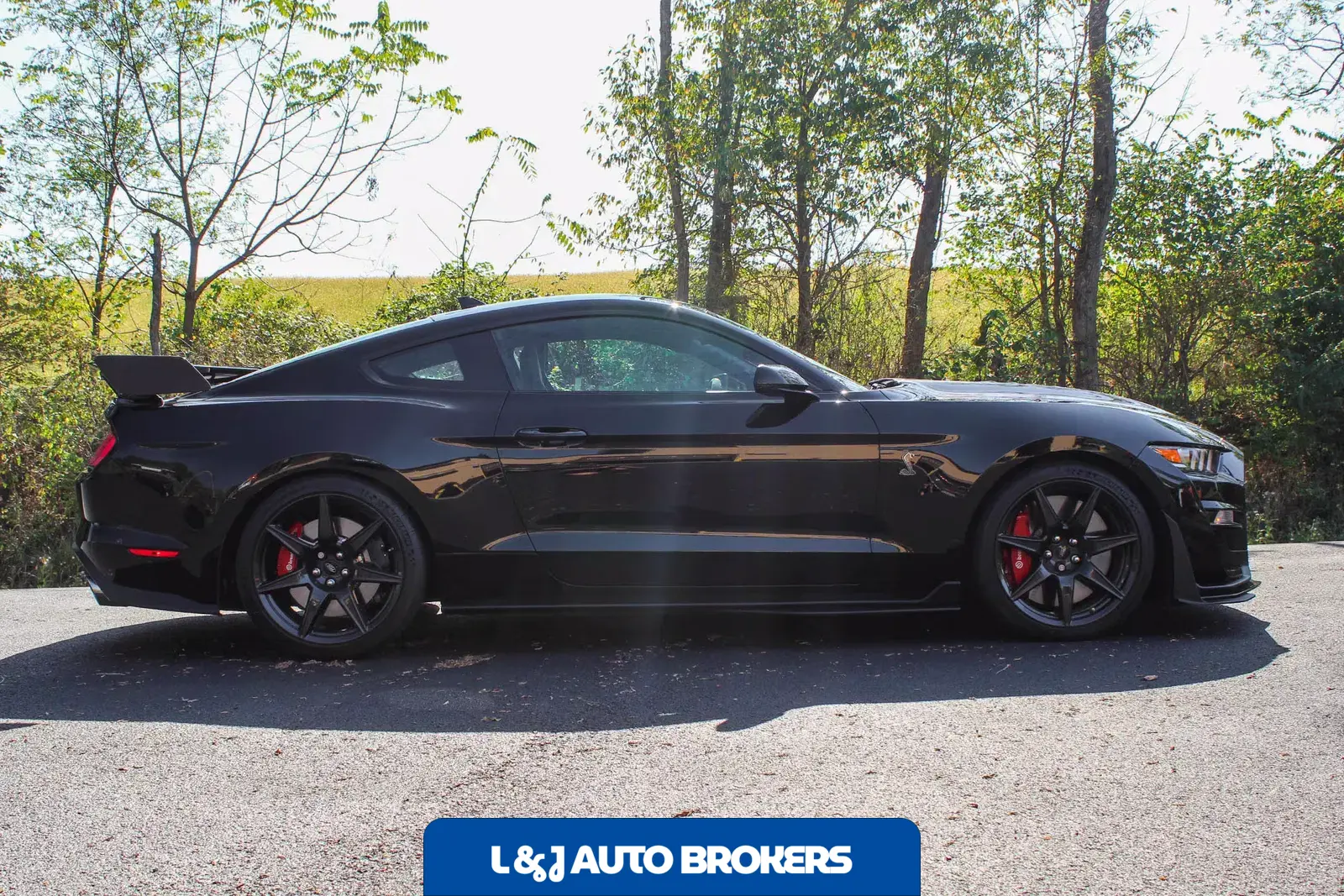 2022 Ford Mustang Shelby GT500