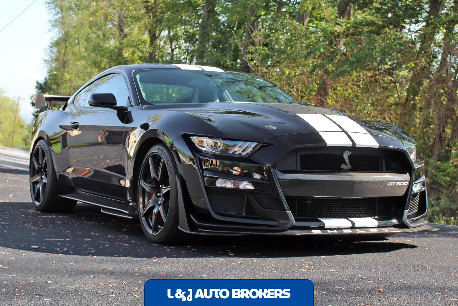 2022 Ford Mustang Shelby GT500