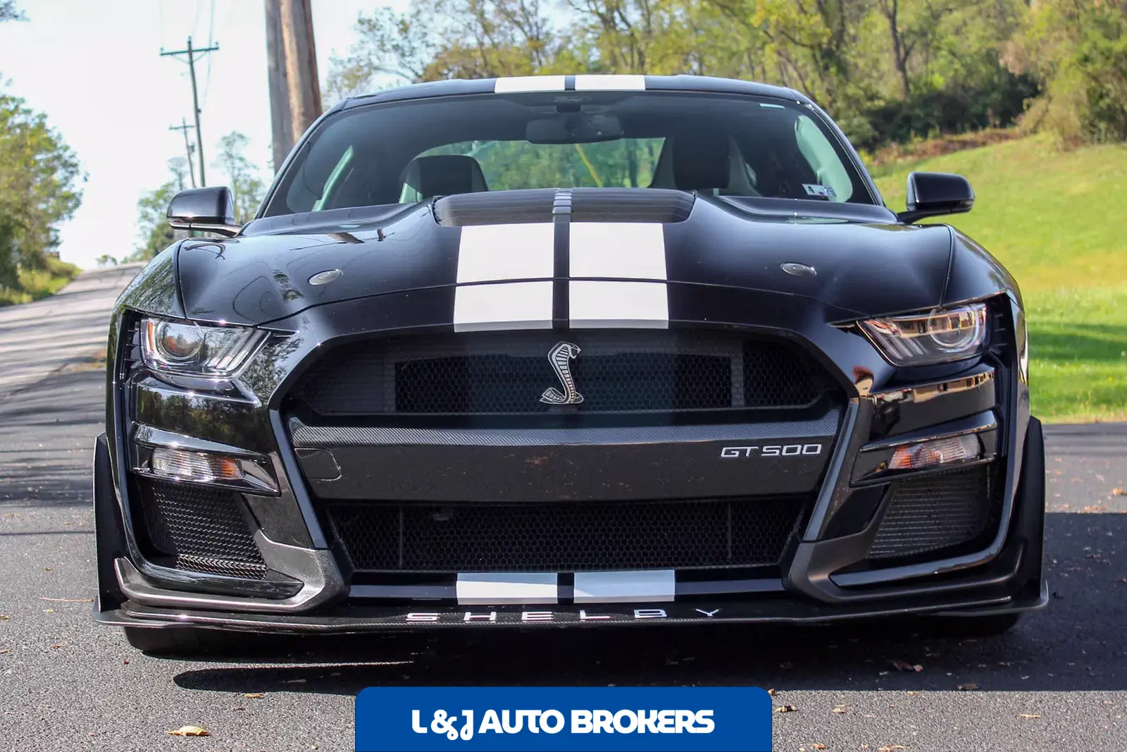 2022 Ford Mustang Shelby GT500
