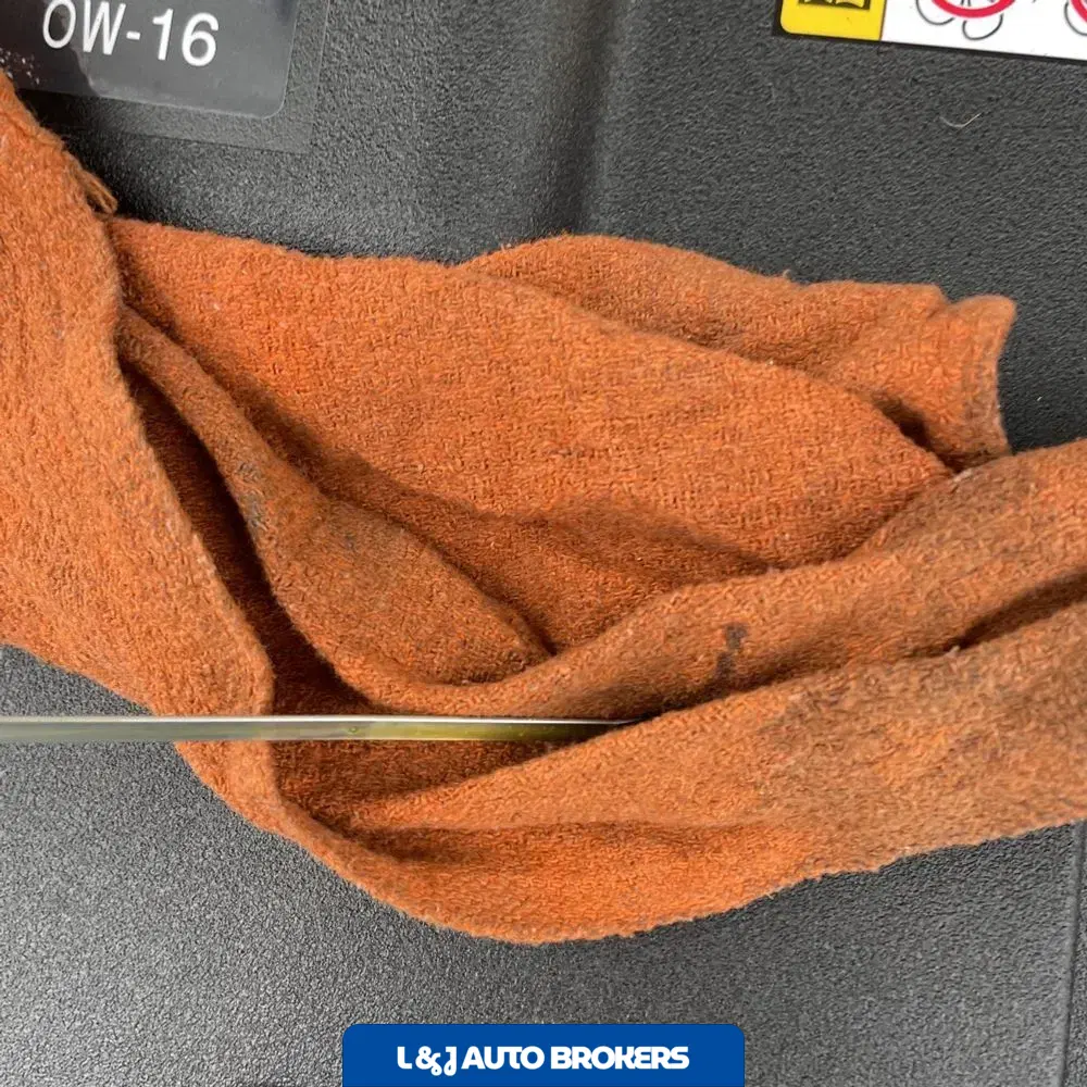 2025 Lexus NX 450h+ F SPORT Handling
