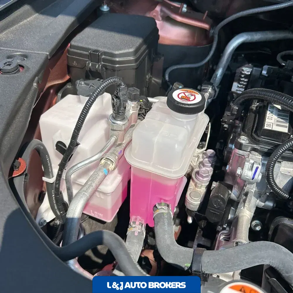 2024 Lexus RX 350 Premium+
