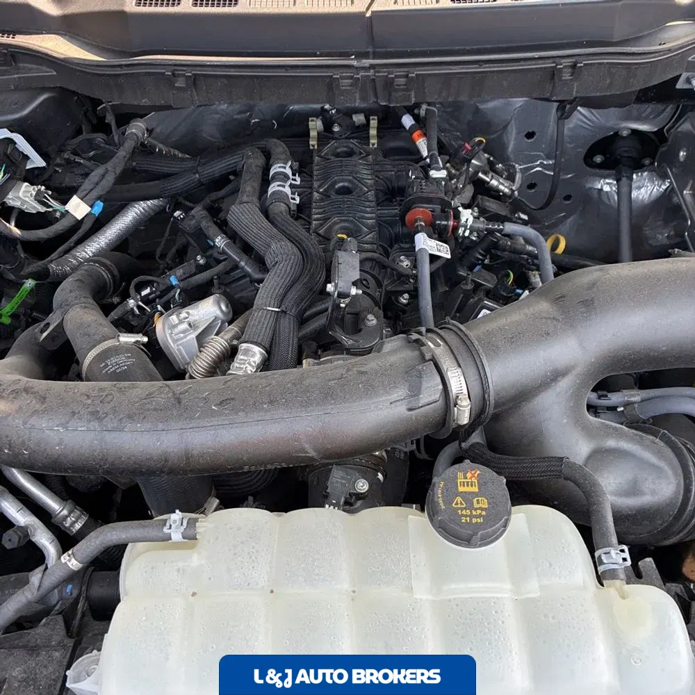 2024 Ford F150 XLT