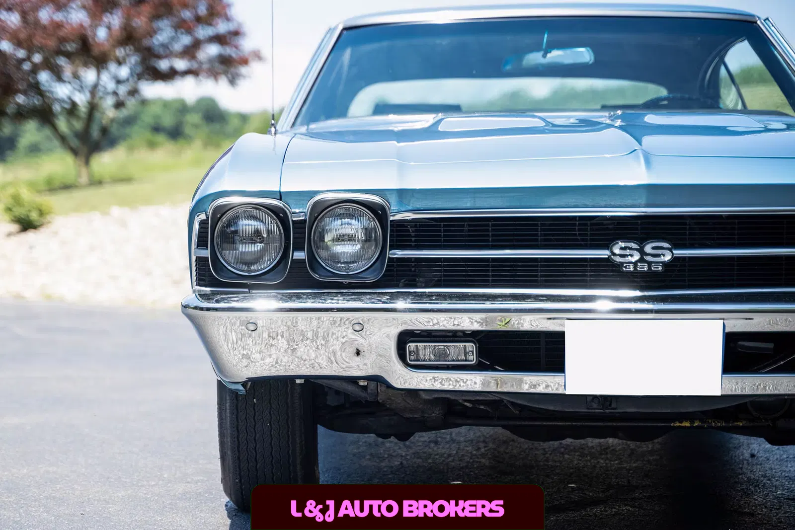 1969 Chevrolet Chevelle Malibu