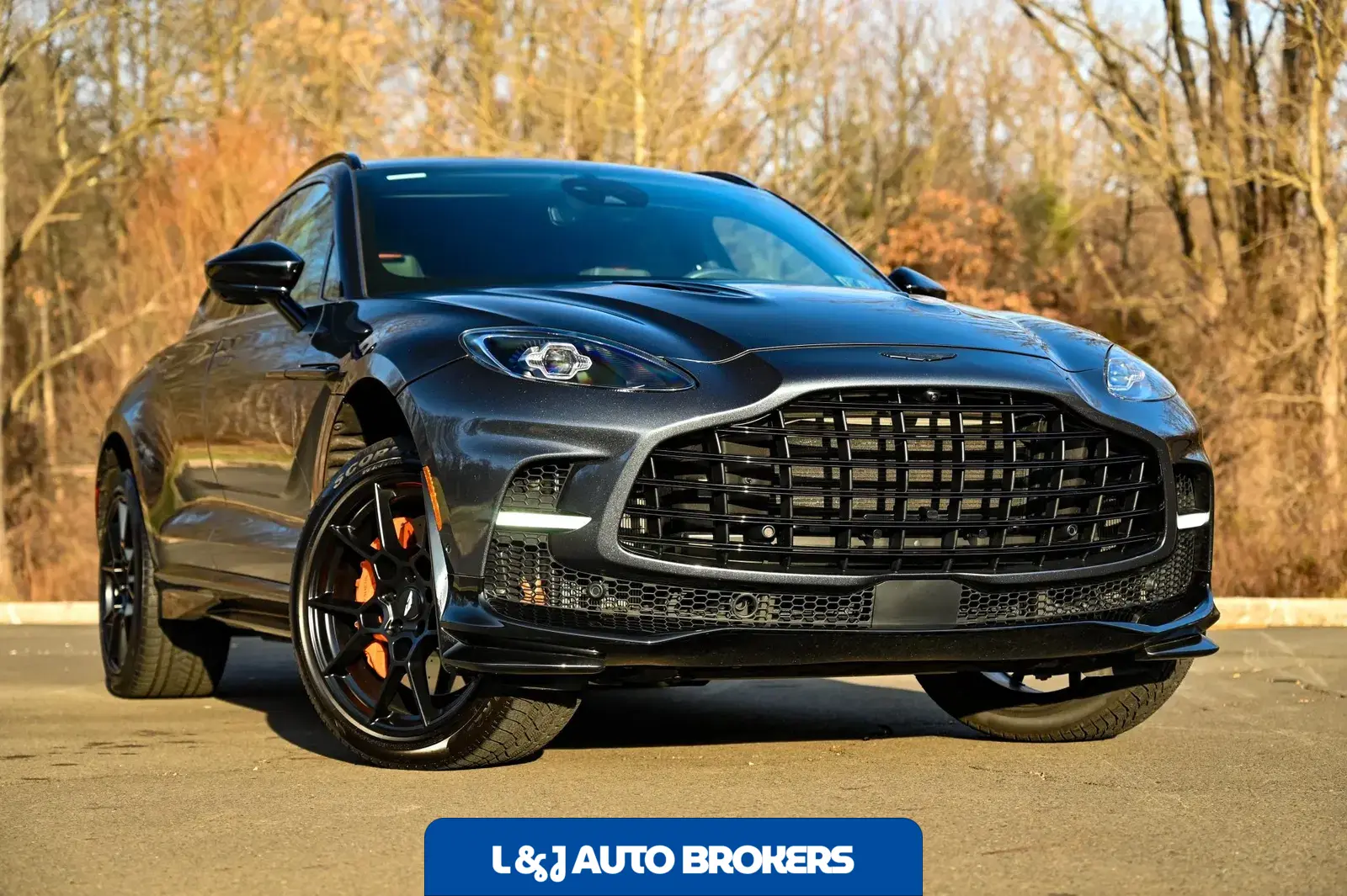 2023 Aston Martin DBX707