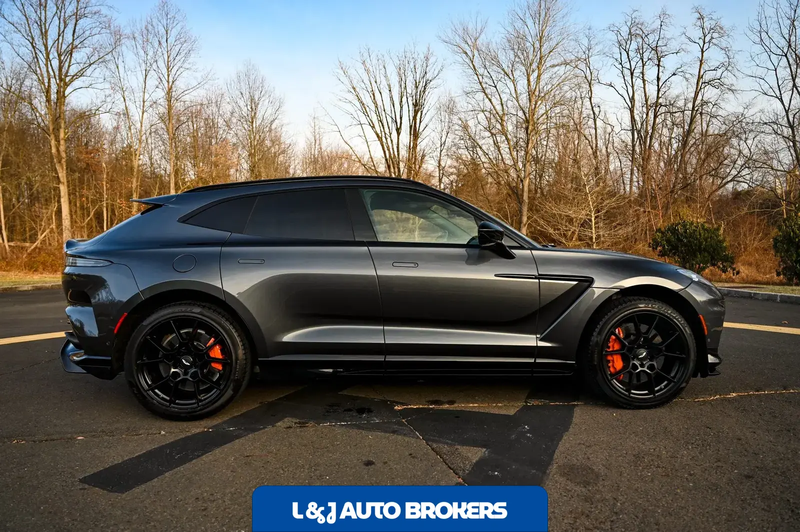 2023 Aston Martin DBX707
